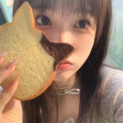 日食